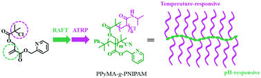 Graphical abstract: A well-defined thermo- and pH-responsive double hydrophilic graft copolymer bearing pyridine-containing backbone