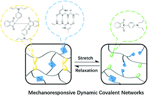 Graphical abstract: Dynamic covalent polymer networks with mechanical and mechanoresponsive properties reinforced by strong hydrogen bonding