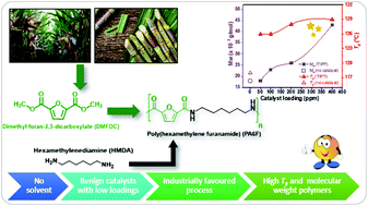 Graphical abstract: Synthesis and characterisation of polyamides based on 2,5-furandicarboxylic acid as a sustainable building block for engineering plastics