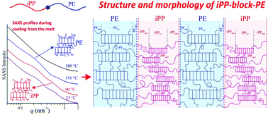Graphical abstract: Structure and morphology of isotactic polypropylene–polyethylene block copolymers prepared with living and stereoselective catalyst