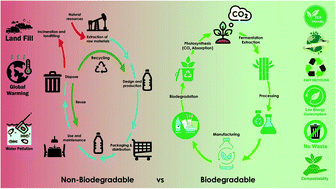 Graphical abstract: Polybutylene succinate, a potential bio-degradable polymer: synthesis, copolymerization and bio-degradation