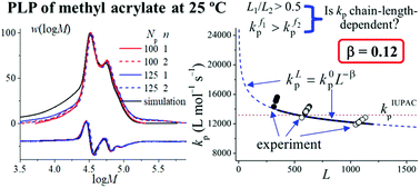 Graphical abstract: Chain-length dependence of the propagation rate coefficient for methyl acrylate polymerization at 25 °C investigated by the PLP-SEC method