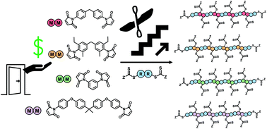 Graphical abstract: Reversible addition–fragmentation chain transfer step-growth polymerization with commercially available inexpensive bis-maleimides