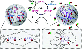 Graphical abstract: Electrostatic loading and photoredox-based release of molecular cargo from oligoviologen-crosslinked microparticles