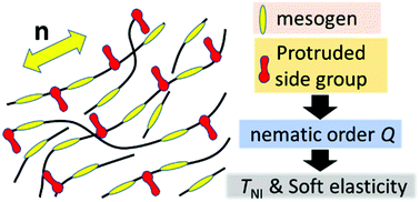 Graphical abstract: Effects of photo-isomerizable side groups on the phase and mechanical properties of main-chain nematic elastomers