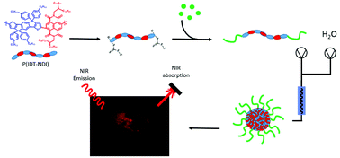 Graphical abstract: Amphiphilic conjugated block copolymers as NIR-bioimaging probes