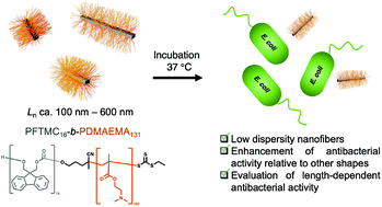 Graphical abstract: Uniform, length-tunable antibacterial 1D diblock copolymer nanofibers
