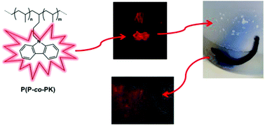 Graphical abstract: New fluorescence labeling isotactic polypropylenes as a tracer: a proof of concept