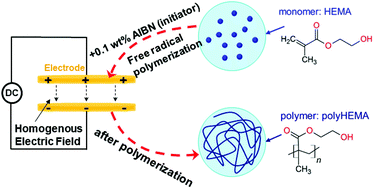 Graphical abstract: Free-radical polymerization of 2-hydroxyethyl methacrylate (HEMA) supported by a high electric field