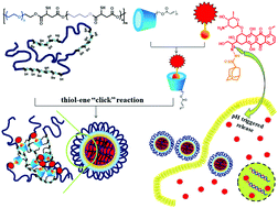 Graphical abstract: Supramolecular polymeric prodrug micelles for efficient anticancer drug delivery