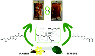 Graphical abstract: Sustainable design of vanillin-based vitrimers using vinylogous urethane chemistry