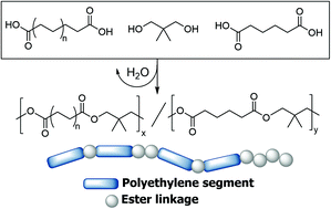 Graphical abstract: Melt polycondensation of carboxytelechelic polyethylene for the design of degradable segmented copolyester polyolefins