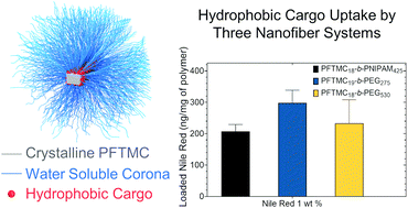 Graphical abstract: Hydrophobic cargo loading at the core–corona interface of uniform, length-tunable aqueous diblock copolymer nanofibers with a crystalline polycarbonate core