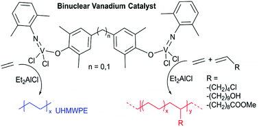 Graphical abstract: Design and synthesis of binuclear vanadium catalysts for copolymerization of ethylene and polar monomers