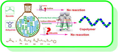 Graphical abstract: Iodine and alkali metal alkoxides: a simple and versatile catalytic system for fully alternating polyester synthesis from phthalic anhydride and epoxides