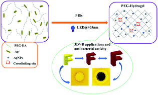 Graphical abstract: Water-soluble/visible-light-sensitive naphthalimide derivative-based photoinitiating systems: 3D printing of antibacterial hydrogels