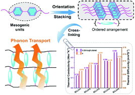 Graphical abstract: High intrinsic thermally conductivity side-chain liquid crystalline polysiloxane films grafted with pendent difunctional mesogenic groups