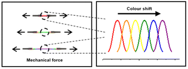 Graphical abstract: Mechanochromic polymers with a multimodal chromic transition: mechanophore design and transduction mechanism