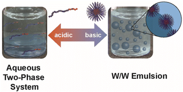 Graphical abstract: pH sensitive water-in-water emulsions based on the pullulan and poly(N,N-dimethylacrylamide) aqueous two-phase system