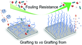 Graphical abstract: Grafting density and antifouling properties of poly[N-(2-hydroxypropyl) methacrylamide] brushes prepared by “grafting to” and “grafting from”