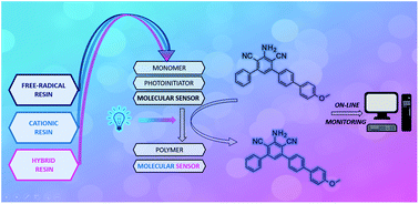 Graphical abstract: meta-Terphenyls as versatile fluorescent molecular sensors for monitoring the progress of hybrid polymerization processes