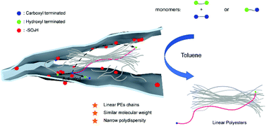 Graphical abstract: Polycondensation in confined nanopores toward the selective formation of narrowly dispersed linear polyesters