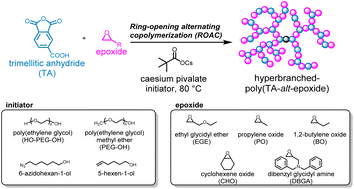 Graphical abstract: Synthesis of hyperbranched polyesters via the ring-opening alternating copolymerisation of epoxides with a cyclic anhydride having a carboxyl group