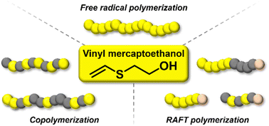 Graphical abstract: Vinyl mercaptoethanol as a reactive monomer for the preparation of functional homo- and copolymers with (meth)acrylates