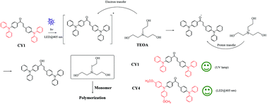 Graphical abstract: Effects of the number and position of methoxy substituents on triphenylamine-based chalcone visible-light-absorbing photoinitiators