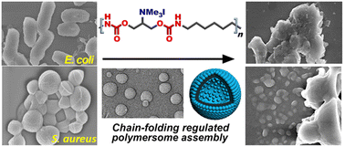 Graphical abstract: Chain-folding regulated self-assembly, outstanding bactericidal activity and biofilm eradication by biomimetic amphiphilic polymers