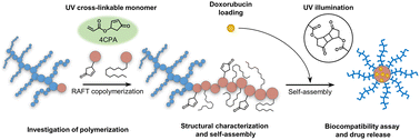 Graphical abstract: Micellar drug delivery vehicles formed from amphiphilic block copolymers bearing photo-cross-linkable cyclopentenone side groups