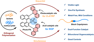 Graphical abstract: Organocatalytic orthogonal ATRP and ring-opening polymerization using a single dual-function photocatalyst