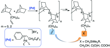 Graphical abstract: Vinylic addition poly(norbornene-co-alkenylnorbornenes) synthesized with benzylic palladium catalysts: materials for manifold functionalization