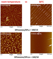 Graphical abstract: The structure–self-assembly relationship in PDMAEMA/polyester miktoarm stars