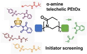 Graphical abstract: Protected amine-functional initiators for the synthesis of α-amine homo- and heterotelechelic poly(2-ethyl-2-oxazoline)s