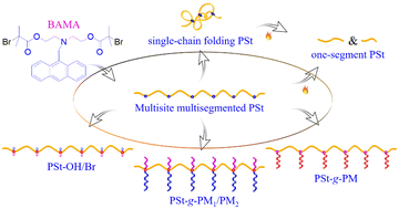 Graphical abstract: Rational design of a multi-in-one heterofunctional agent for versatile topological transformation of multisite multisegmented polystyrenes
