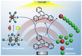 Graphical abstract: Sonochemistry-assisted photocontrolled atom transfer radical polymerization enabled by manganese carbonyl