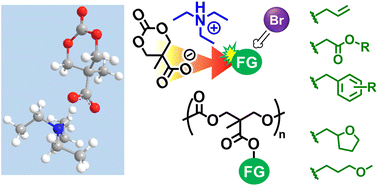 Graphical abstract: Organic carboxylate salt-enabled alternative synthetic routes for bio-functional cyclic carbonates and aliphatic polycarbonates