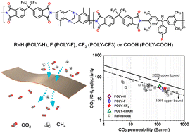Graphical abstract: Synthesis of polyimides containing Tröger's base and triphenylmethane moieties with a tunable fractional free volume for CO2 separation