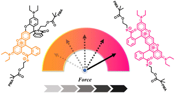 Graphical abstract: A double-spiro ring-structured mechanophore with dual-signal mechanochromism and multistate mechanochemical behavior: non-sequential ring-opening and multimodal analysis