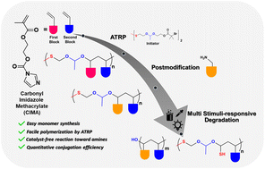 Graphical abstract: Synthesis of multiple stimuli-responsive degradable block copolymers via facile carbonyl imidazole-induced postpolymerization modification