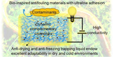 Graphical abstract: Bioinspired ionic hydrogel materials with excellent antifouling properties and high conductivity in dry and cold environments