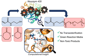 Graphical abstract: N-Hydroxyethyl acrylamide as a functional eROP initiator for the preparation of nanoparticles under “greener” reaction conditions