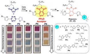 Graphical abstract: Pyrrolo[3,4-c]pyridine-1,2-dione: a new electron acceptor for electrochromic conjugated polymers