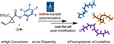 Graphical abstract: Expanding monomer scope and enabling post-modification in photocontrolled radical ring-opening polymerization of vinylcyclopropanes by an iodine transfer strategy