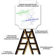 Graphical abstract: Nucleobase-containing polymer architectures controlled by supramolecular interactions: the key to achieve biomimetic platforms with various morphologies