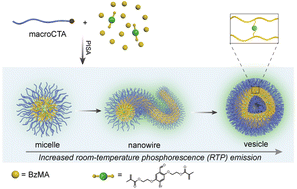 Graphical abstract: Fabrication of nano-objects with morphology-correlated room-temperature phosphorescence and their application in information encryption