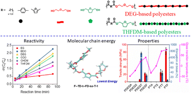 Graphical abstract: Melt polycondensation of 2,5-tetrahydrofurandimethanol with various dicarboxylic acids towards a variety of biobased polyesters