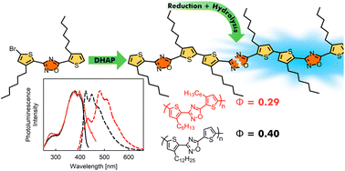 Graphical abstract: Direct heteroarylation polymerization of a π-conjugated polymer with degradable 1,2,4-oxadiazole linkers