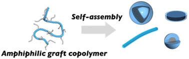 Graphical abstract: Recent advances in the self-assembly of sparsely grafted amphiphilic copolymers in aqueous solution
